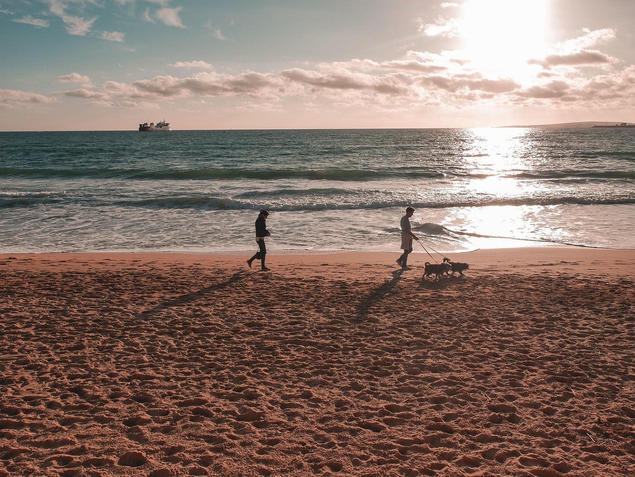 Passeggiate con il cane a Porto Cesareo e dintorni